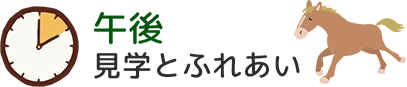午後 見学とふれあい
