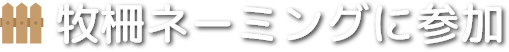 牧柵ネーミング