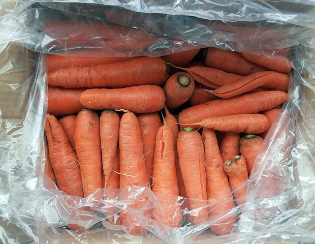 1/27兵庫県のM・H様よりにんじんをいただきました!