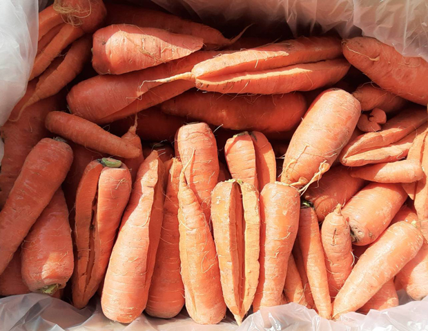 兵庫県のM・H様よりにんじんをいただきました!