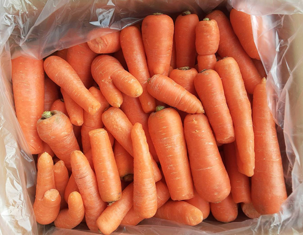 2/22北海道のS・S様よりにんじんをいただきました!